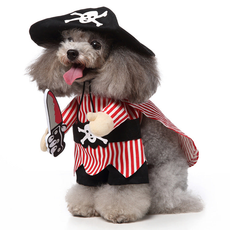 Costumes for small dogs
