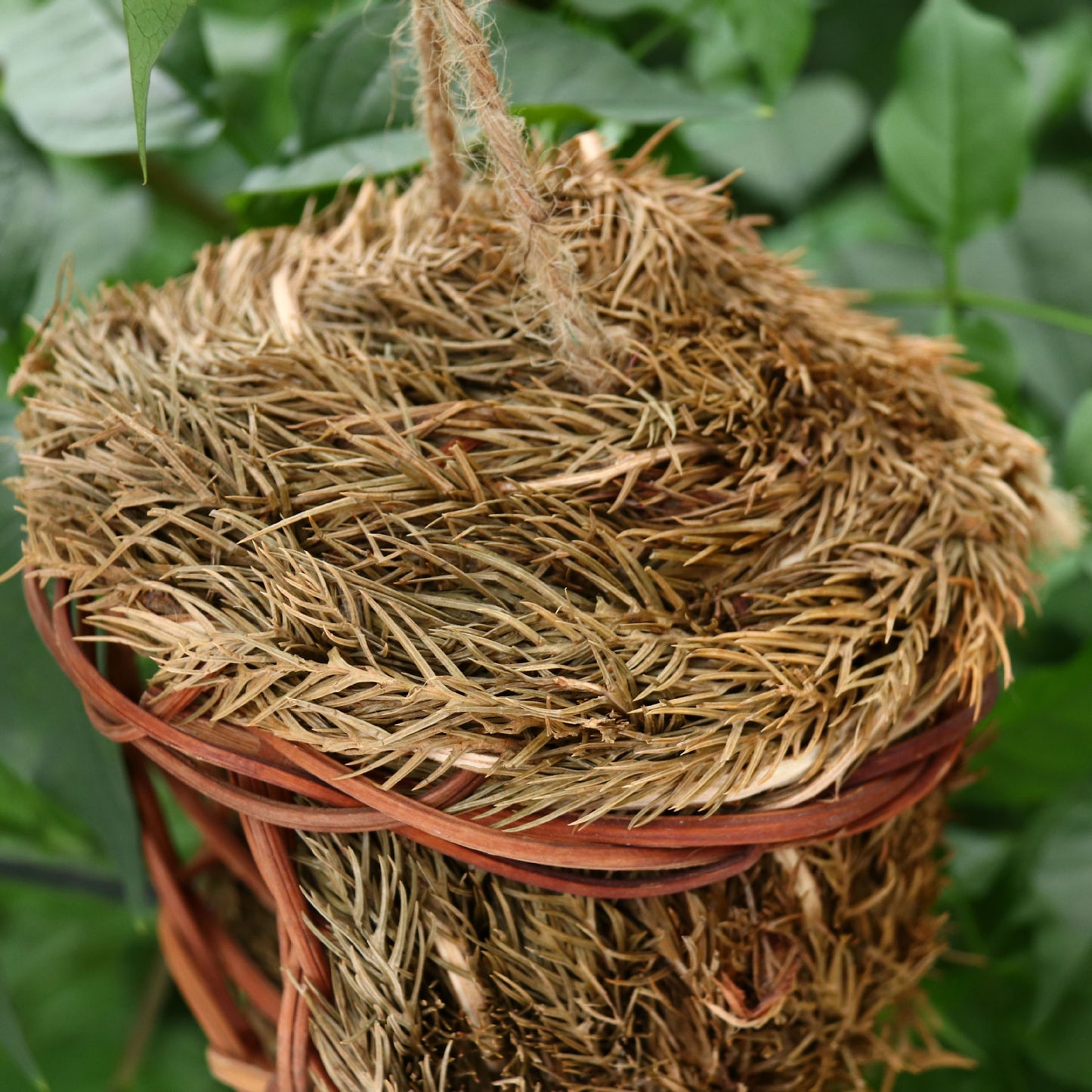 Hand made bird house