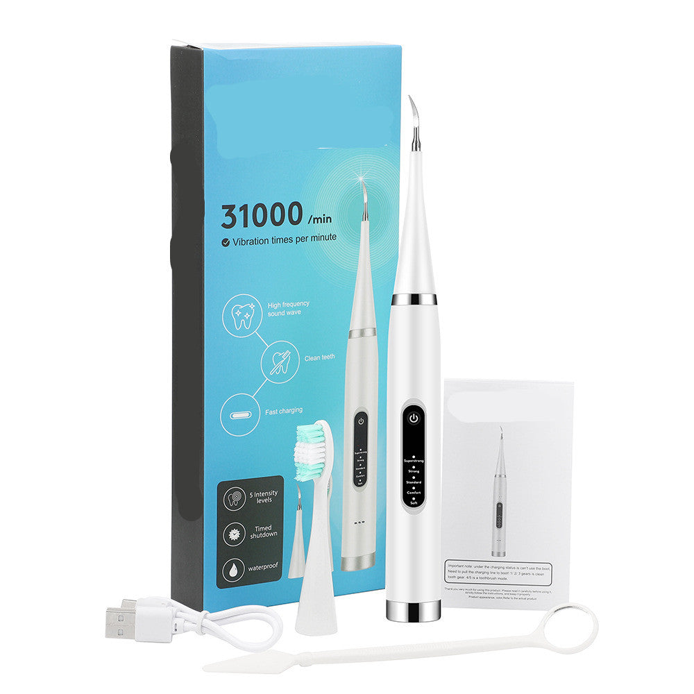 Electric dental cleaner
