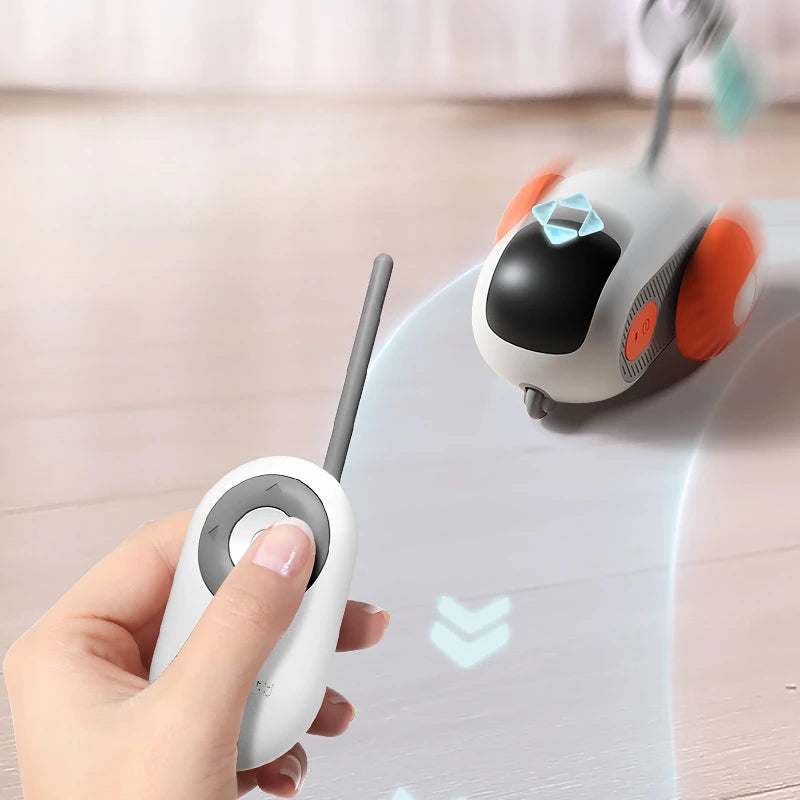 Interactive cat toy with remote