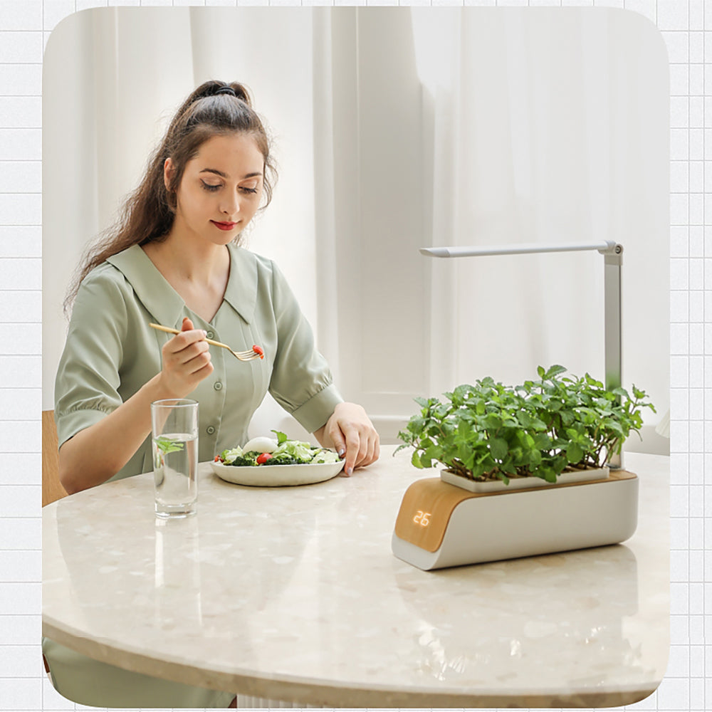 Growing system for indoor