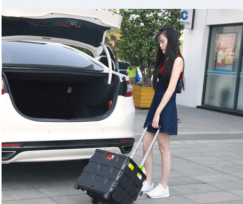 Car trunk organizer trolley