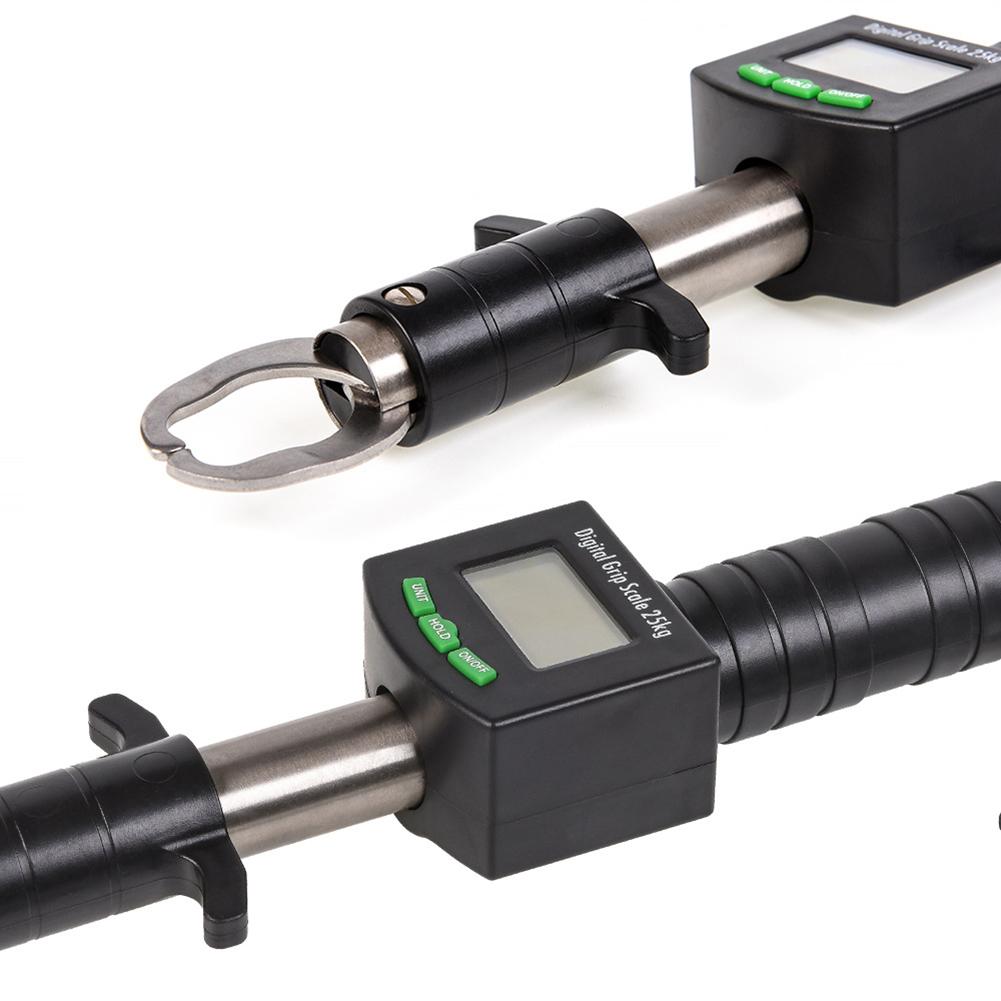 Electronic fish weigher