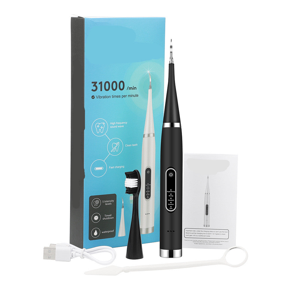 Electric dental cleaner
