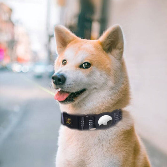 GPS dog collar